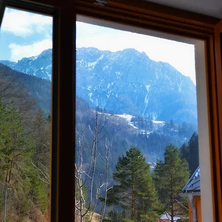 Pensjonat Hisa Plesnik *