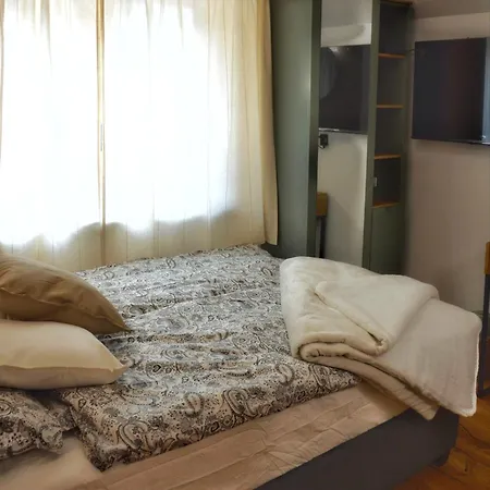 Hisa Plesnik Solčava