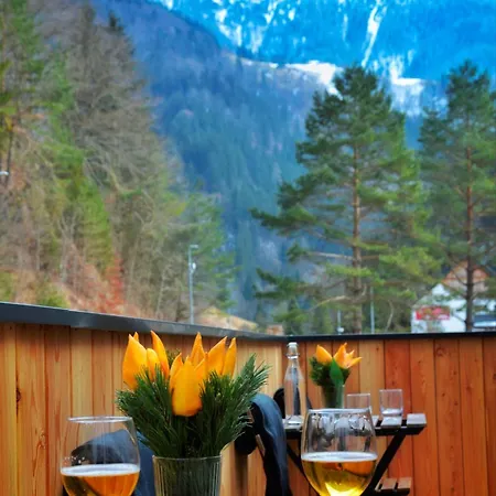 Hisa Plesnik 3* Solčava