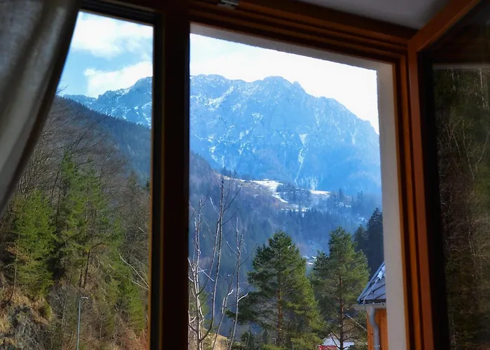 Guest house Hisa Plesnik 3*