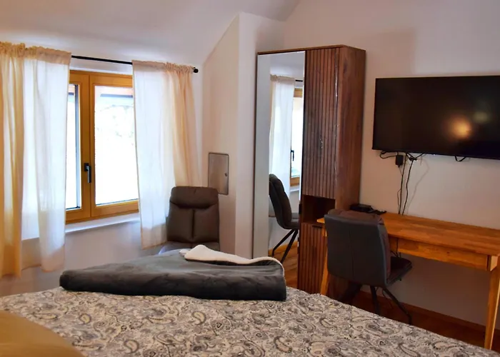 Hisa Plesnik Solcava