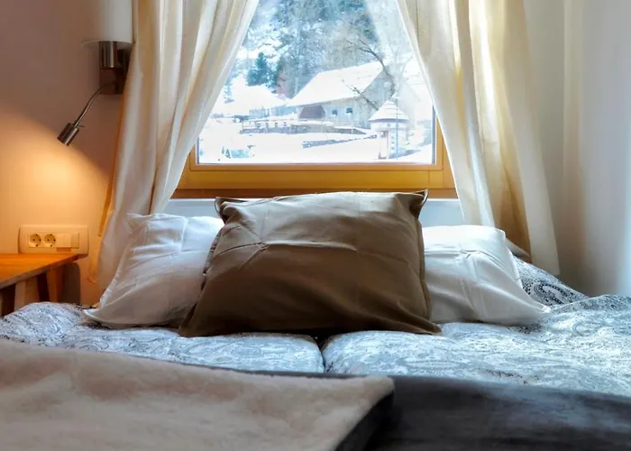 Hisa Plesnik Guest house